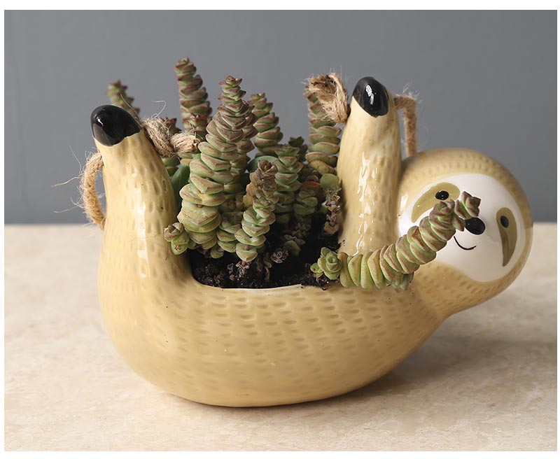 Ceramic Hanging Flower Plant Pots
