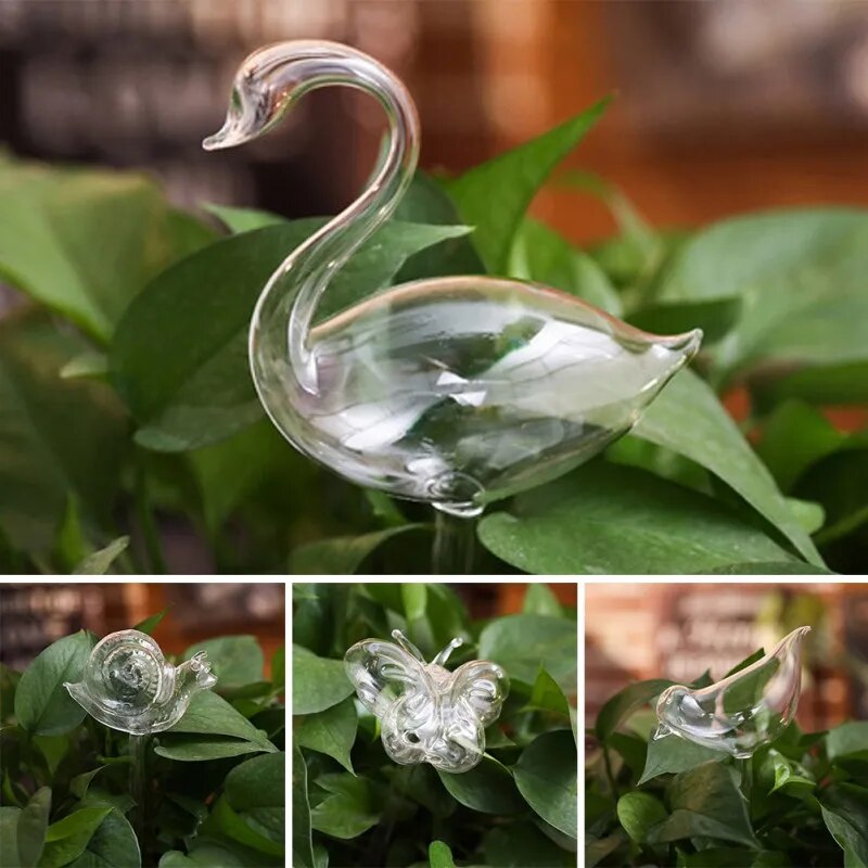 Glass Plant Flower Water Feeder