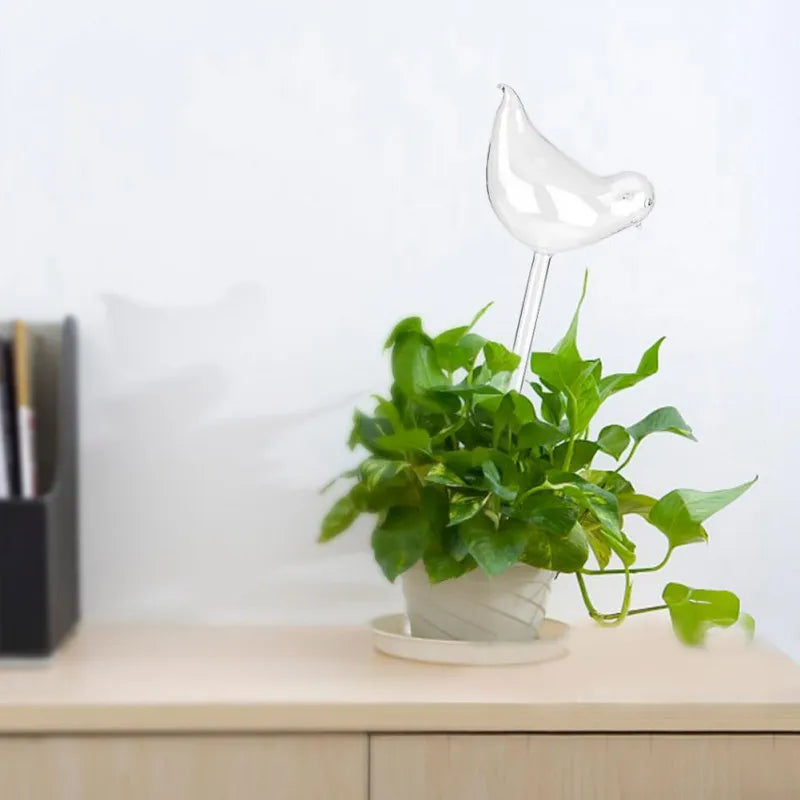 Glass Plant Flower Water Feeder
