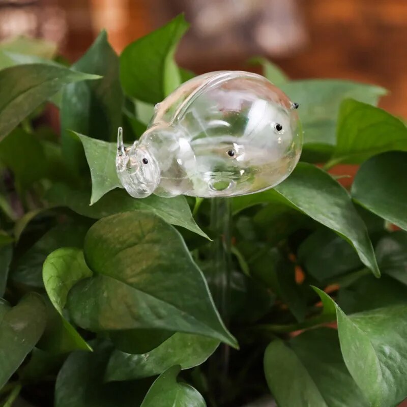 Glass Plant Flower Water Feeder