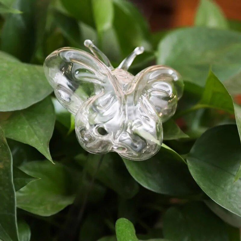Glass Plant Flower Water Feeder