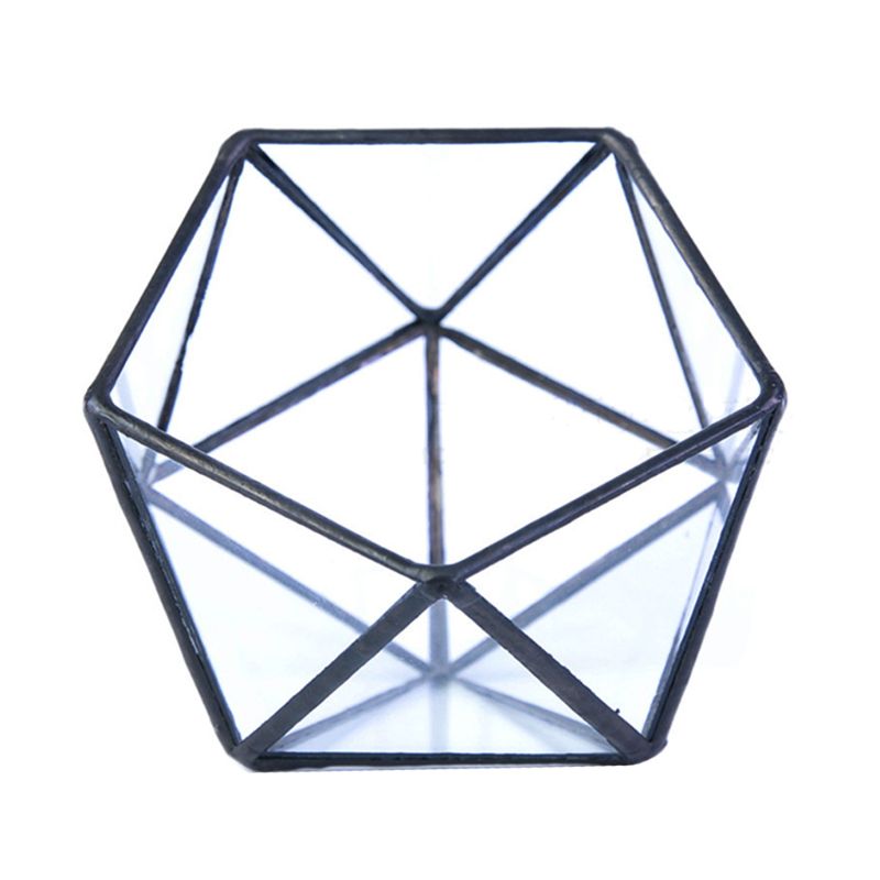 Glass Geometric Terrarium