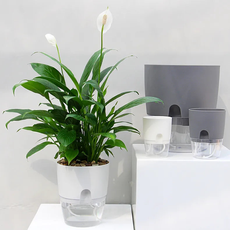 Transparent Double Layer Flower Pot