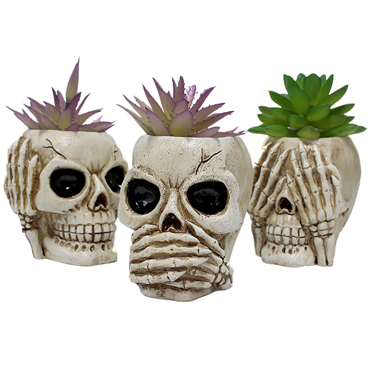 Skull Resin Planter Pot