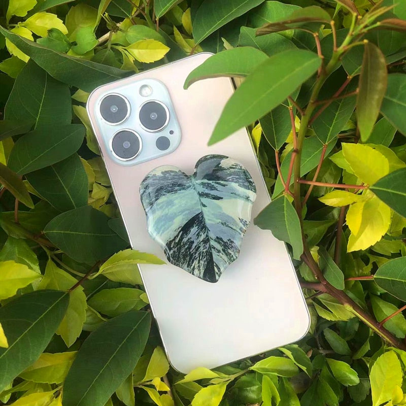 Cellphone Grip Bracket Socket