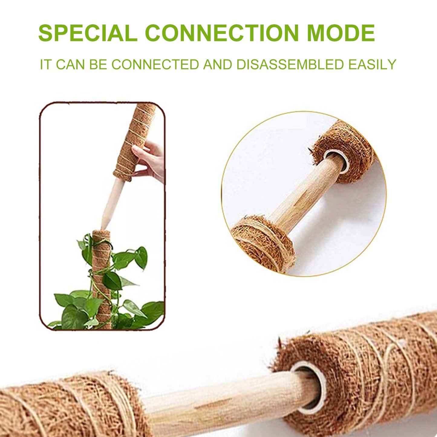 Plant Support Stakes For Plants