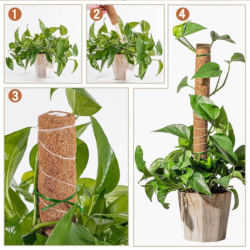 Plant Support Stakes For Plants