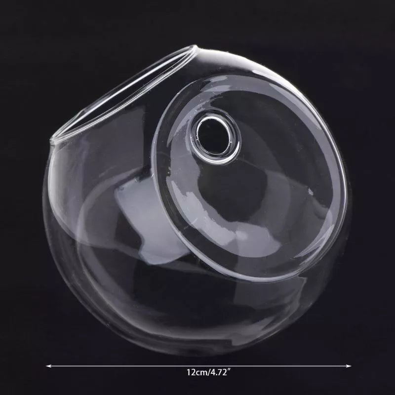 Glass Wall Hanging Hydroponic Plant Pot