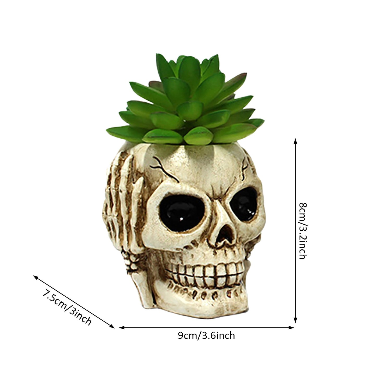 Skull Resin Planter Pot