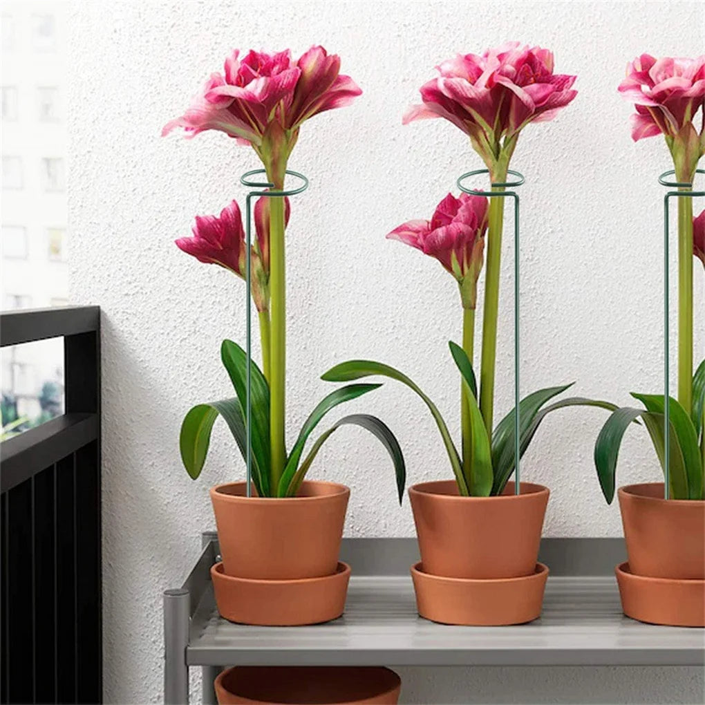 5 Pieces Climbing Potted Plant Support Sticks
