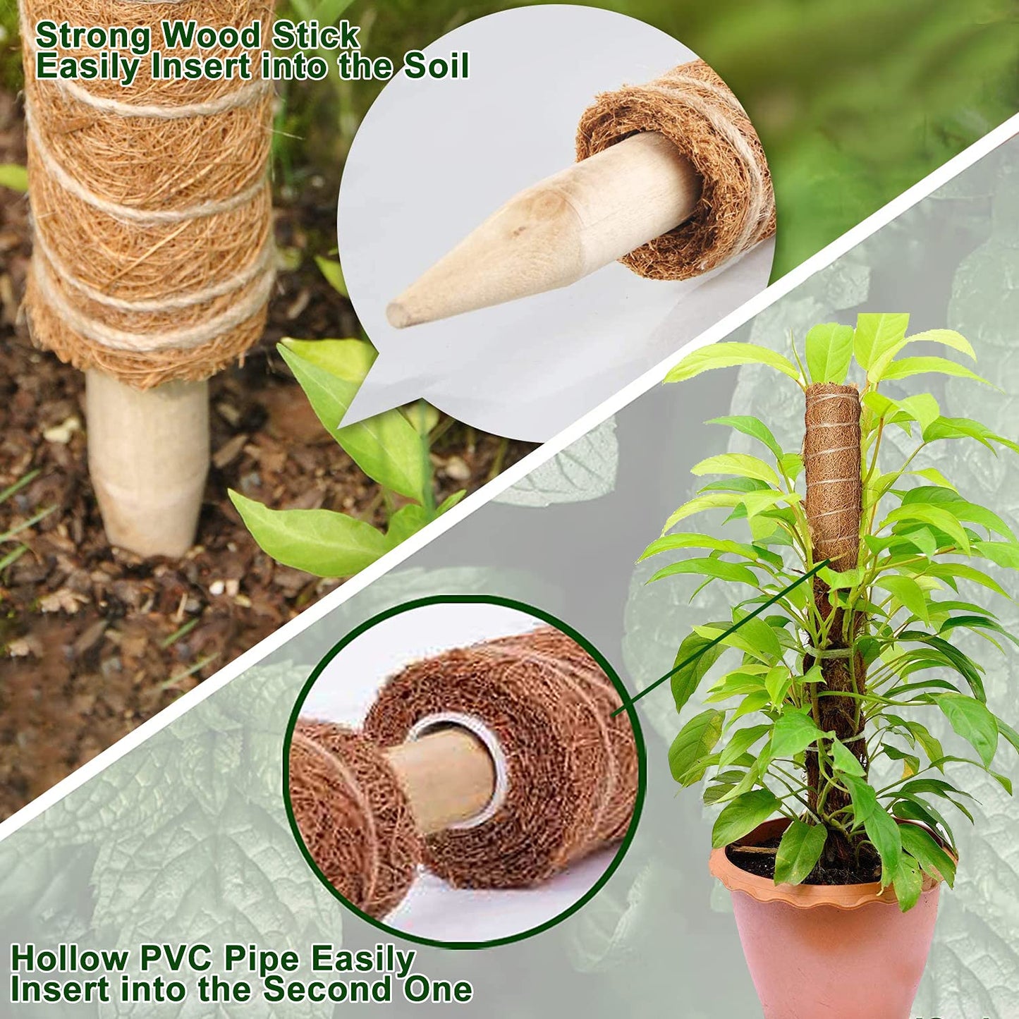Plant Support Stakes For Plants