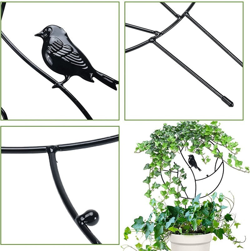 Plant Support Stake Trellis