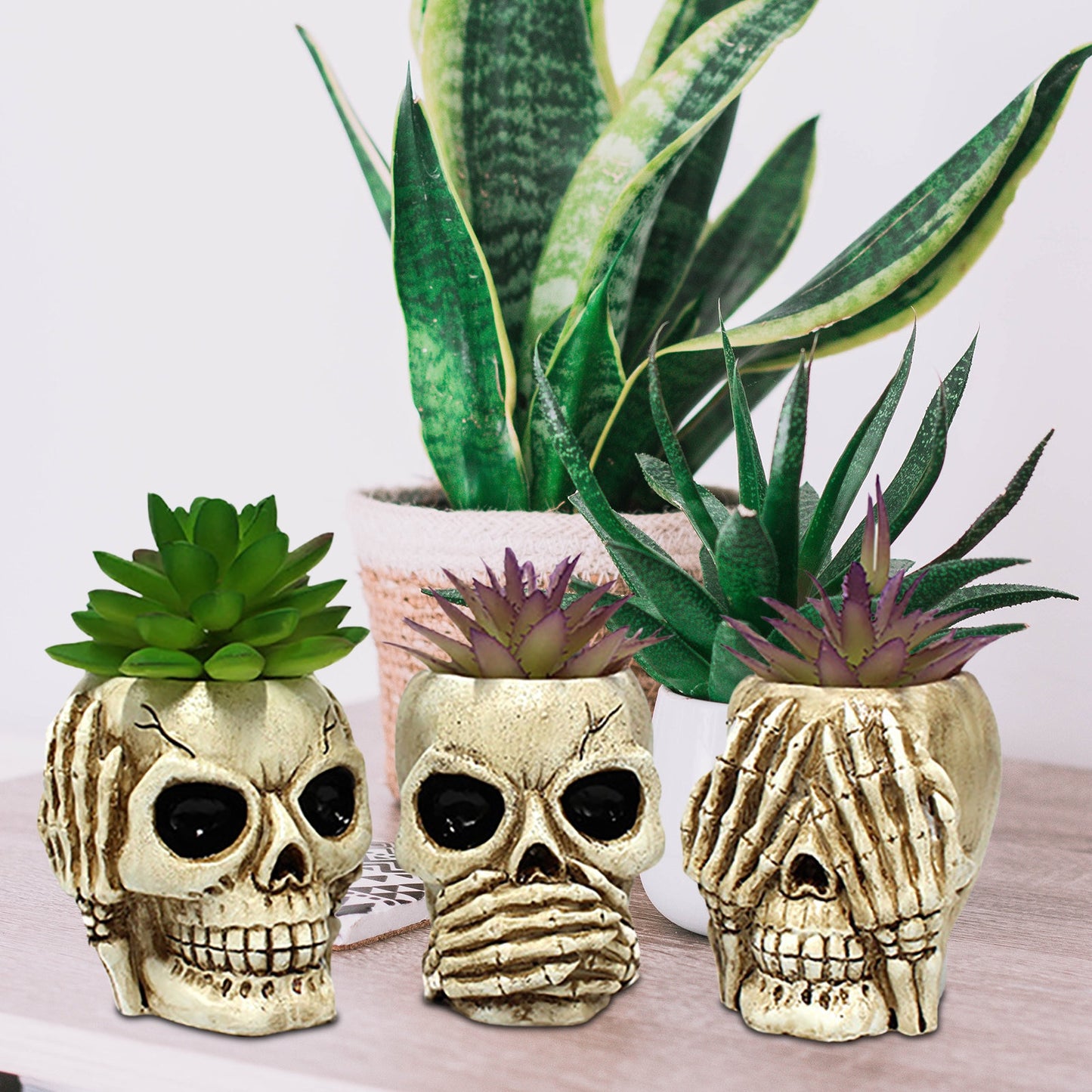 Skull Resin Planter Pot