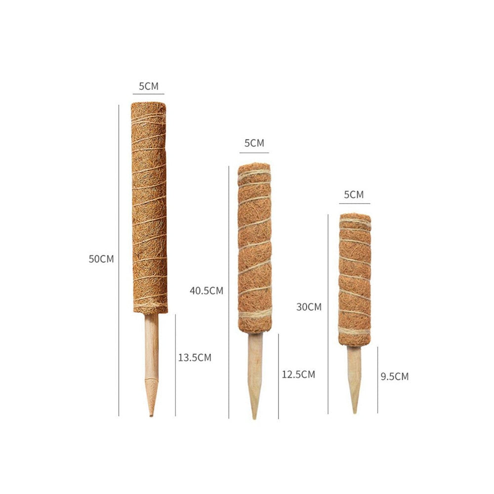 Plant Support Stakes For Plants