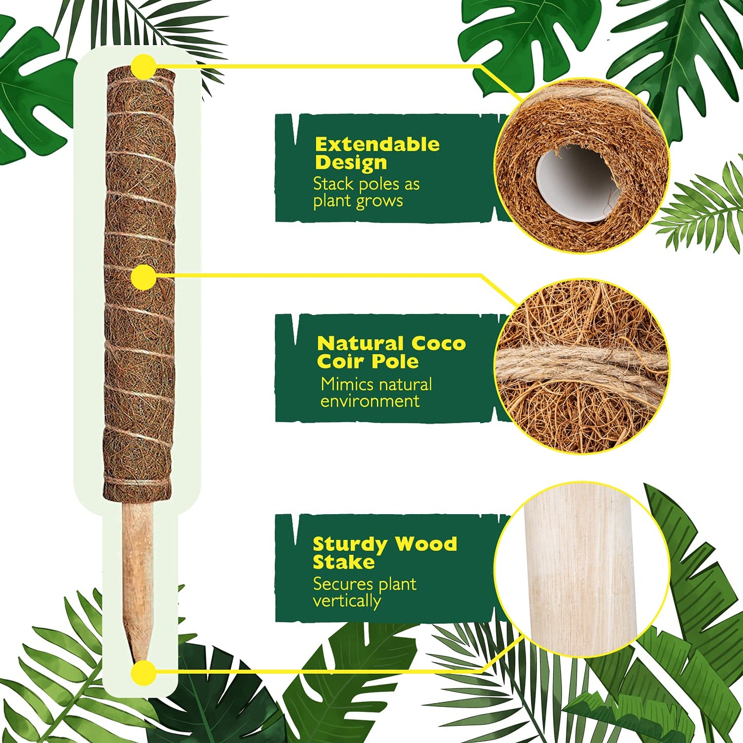 Plant Support Stakes For Plants