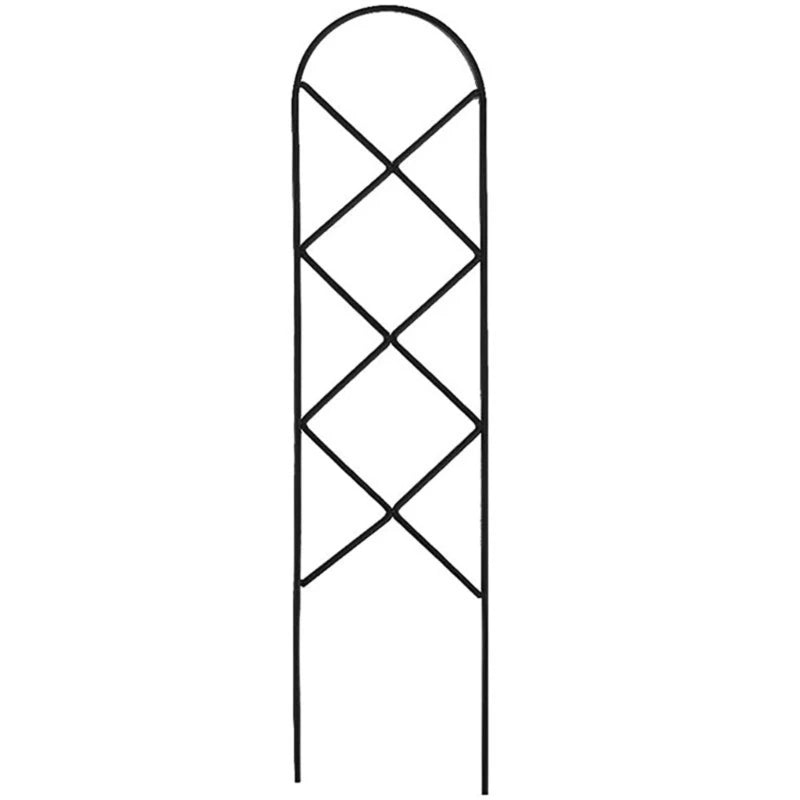 49454436679973
