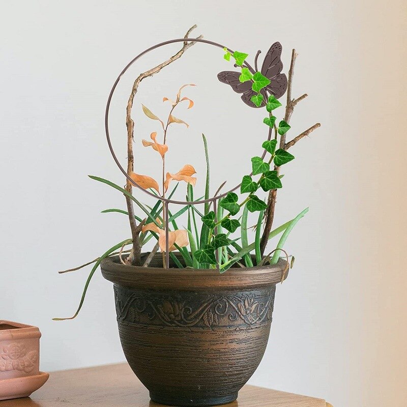 Plant Support Stake Trellis