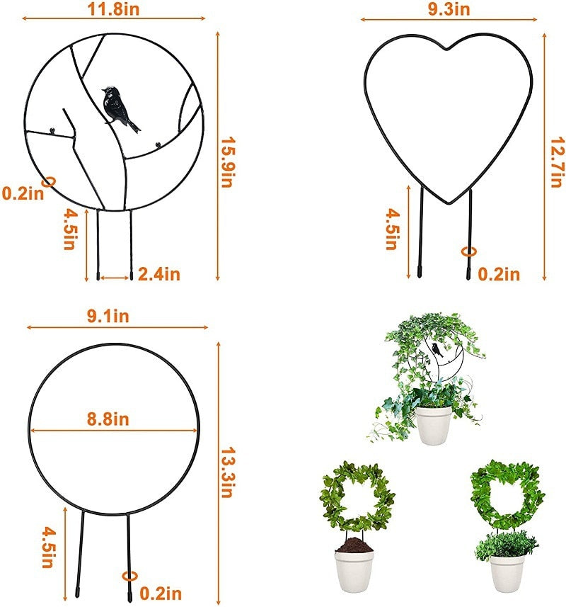 Plant Support Stake Trellis