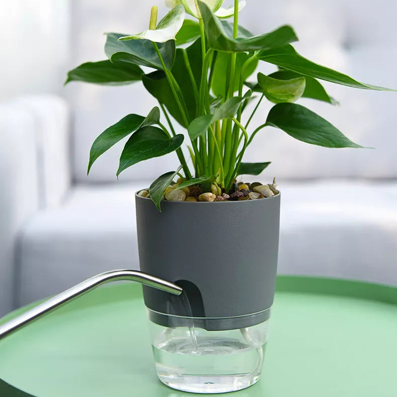 Transparent Double Layer Flower Pot