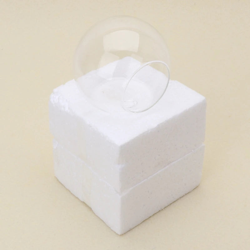 Glass Wall Hanging Hydroponic Plant Pot