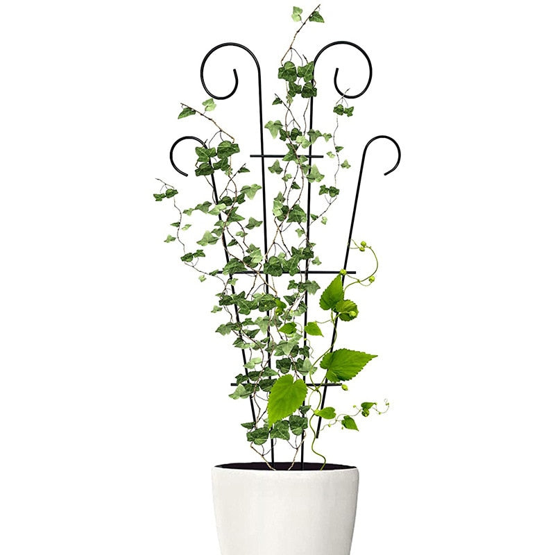 Metal Plant Climbing Frame