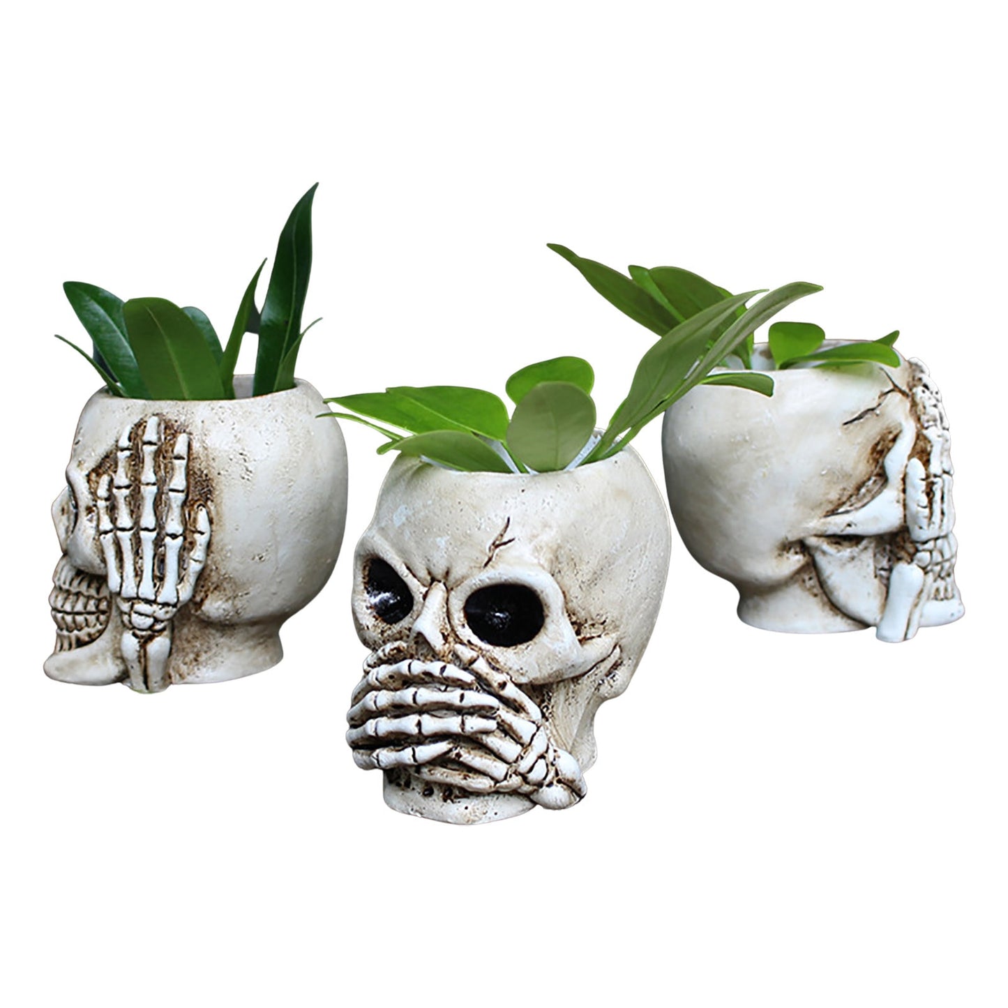 Skull Resin Planter Pot