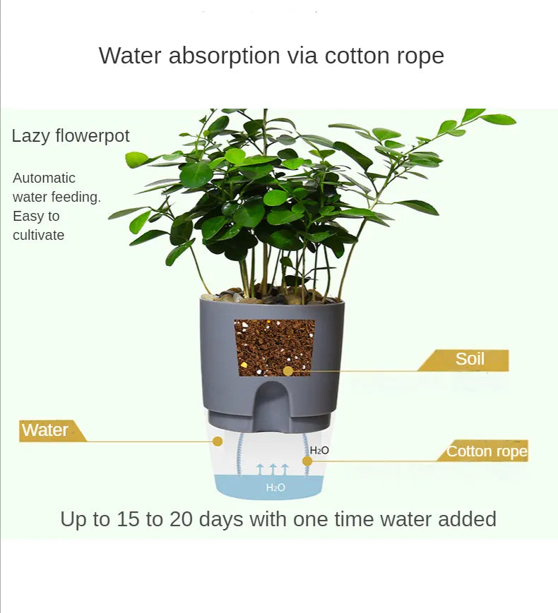 Transparent Double Layer Flower Pot