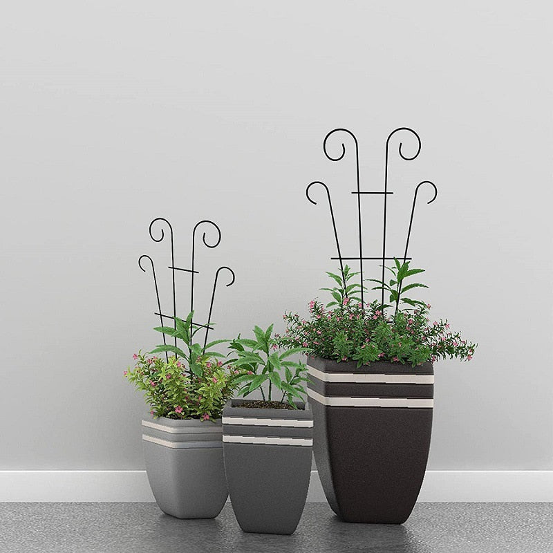 Metal Plant Climbing Frame