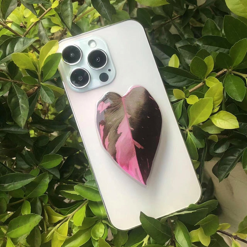 Cellphone Grip Bracket Socket