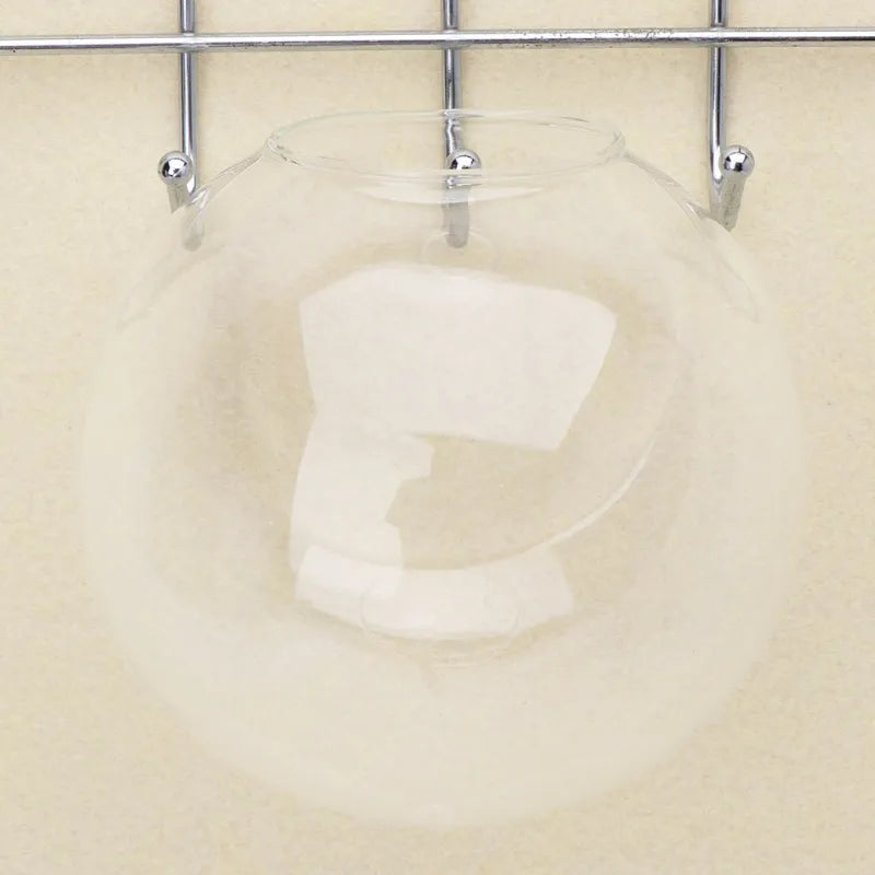Glass Wall Hanging Hydroponic Plant Pot