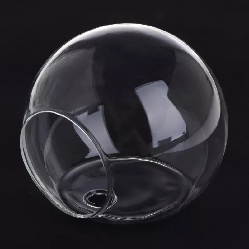 Glass Wall Hanging Hydroponic Plant Pot