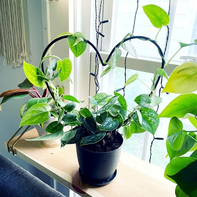 Metal Iron Plant Support Stake Stand