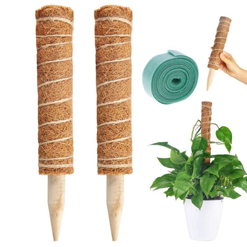 Plant Support Stakes For Plants