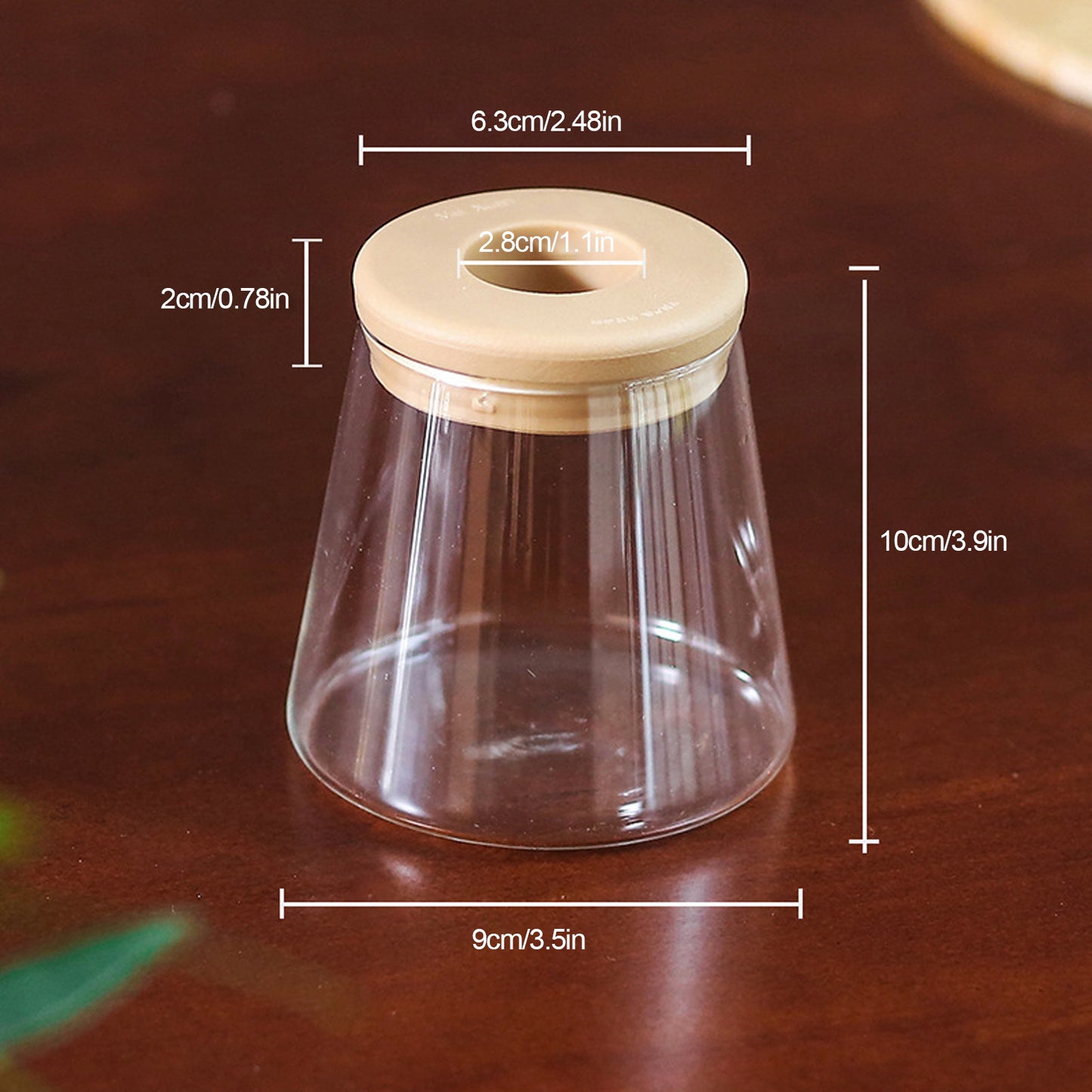 Mini Hydroponic Plant Pot