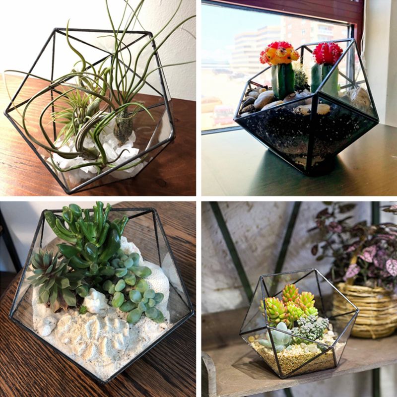 Glass Geometric Terrarium