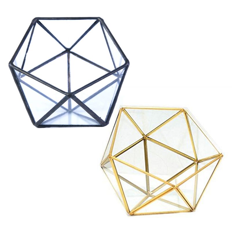 Glass Geometric Terrarium