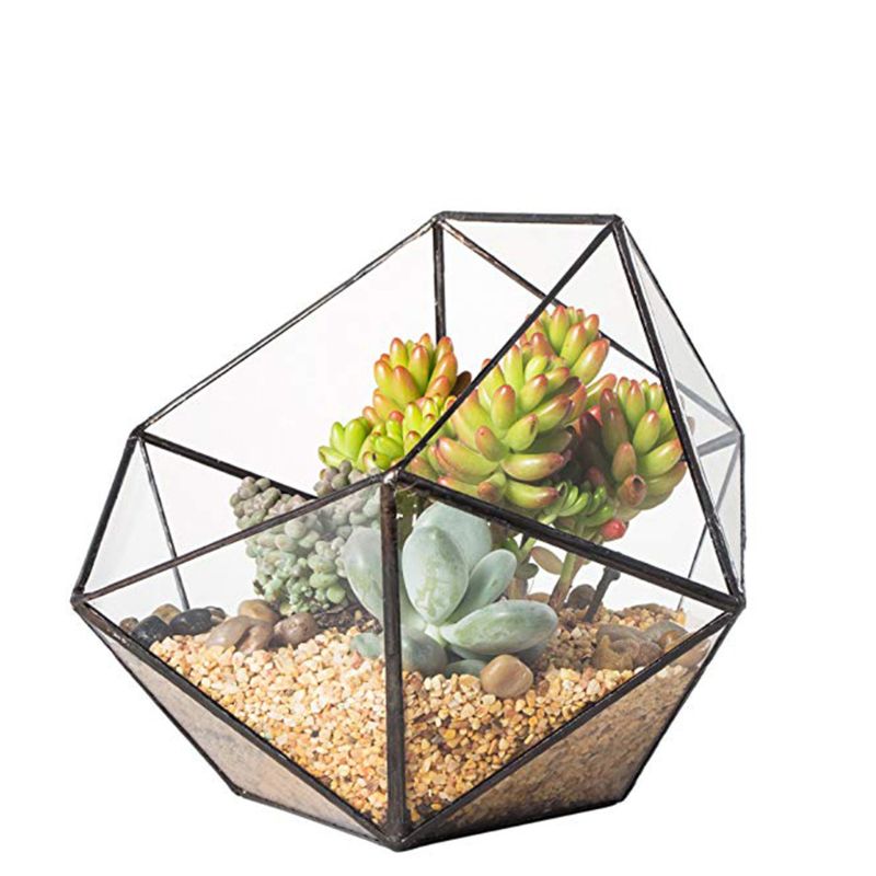 Glass Geometric Terrarium