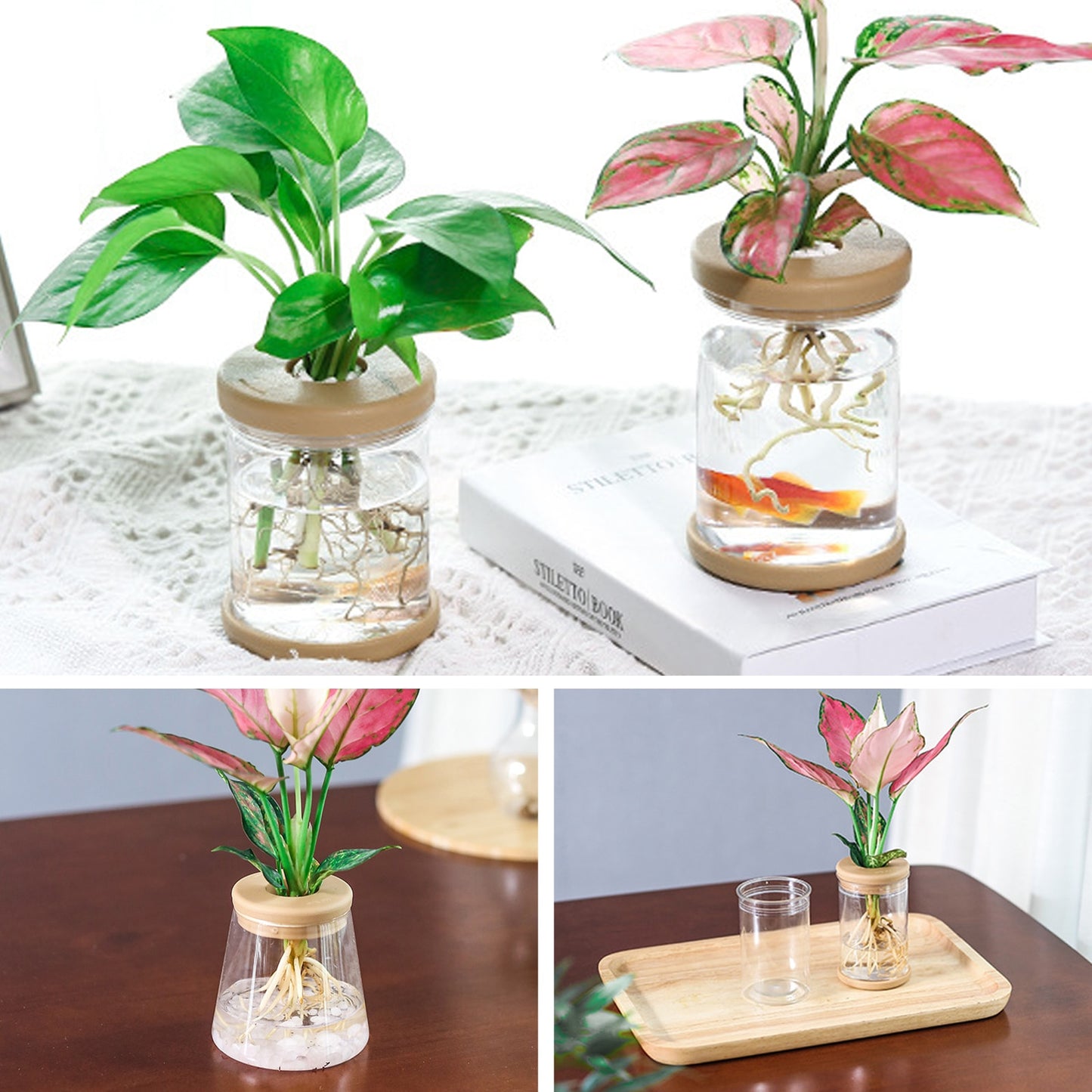Mini Hydroponic Plant Pot