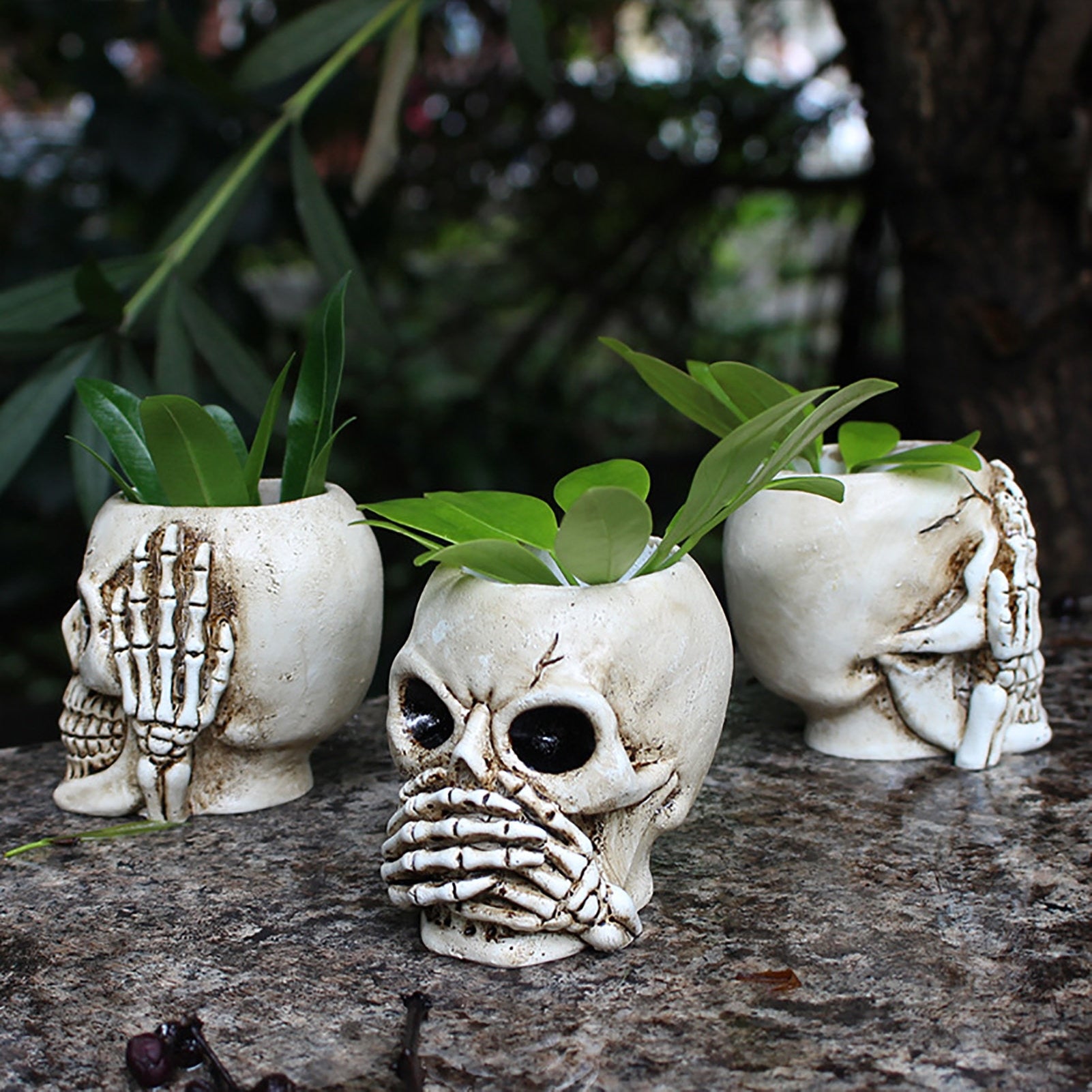 skull planter pot Skull Resin Planter Pot – Here We Grow Girl