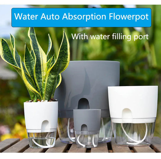 Transparent Double Layer Flower Pot