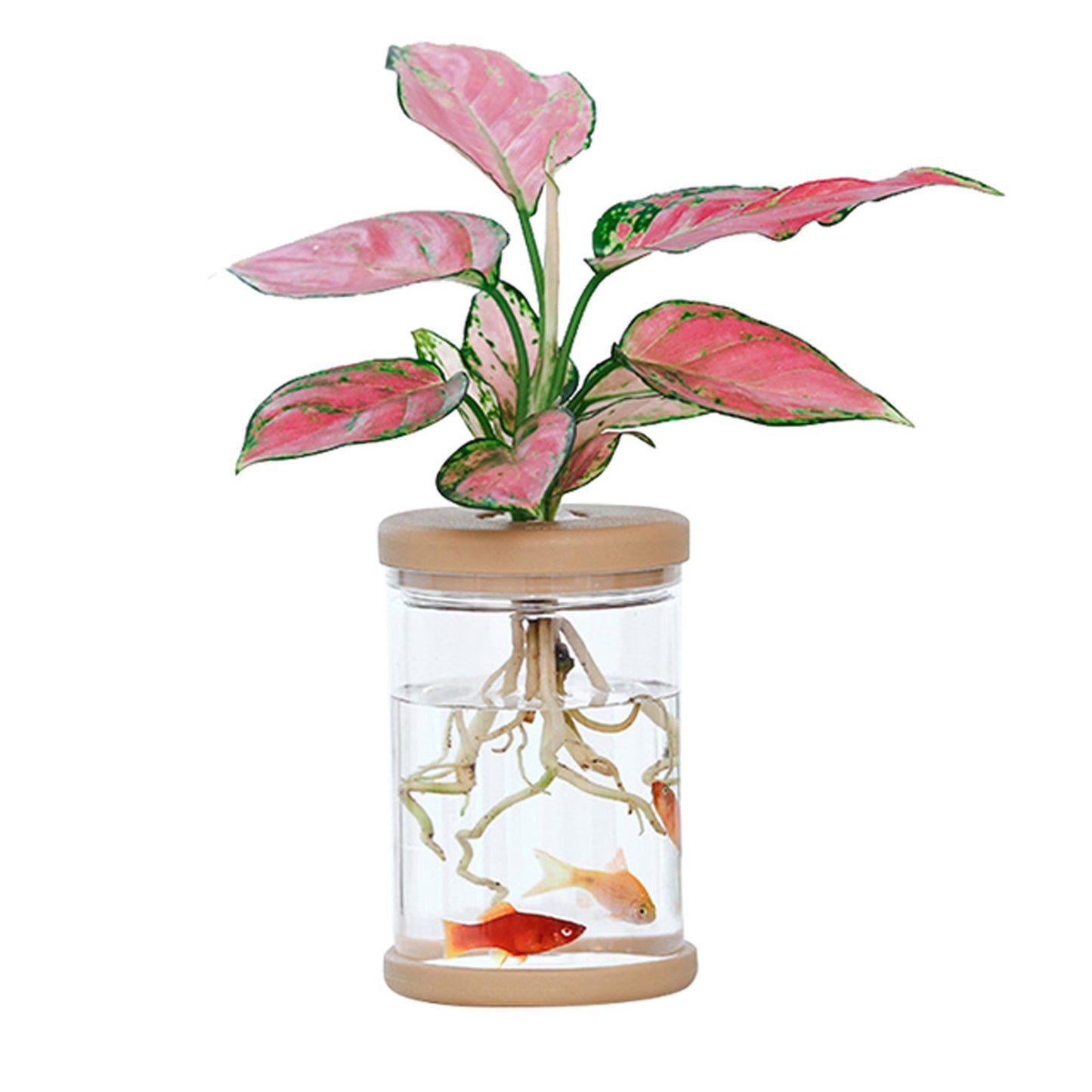 Mini Hydroponic Plant Pot