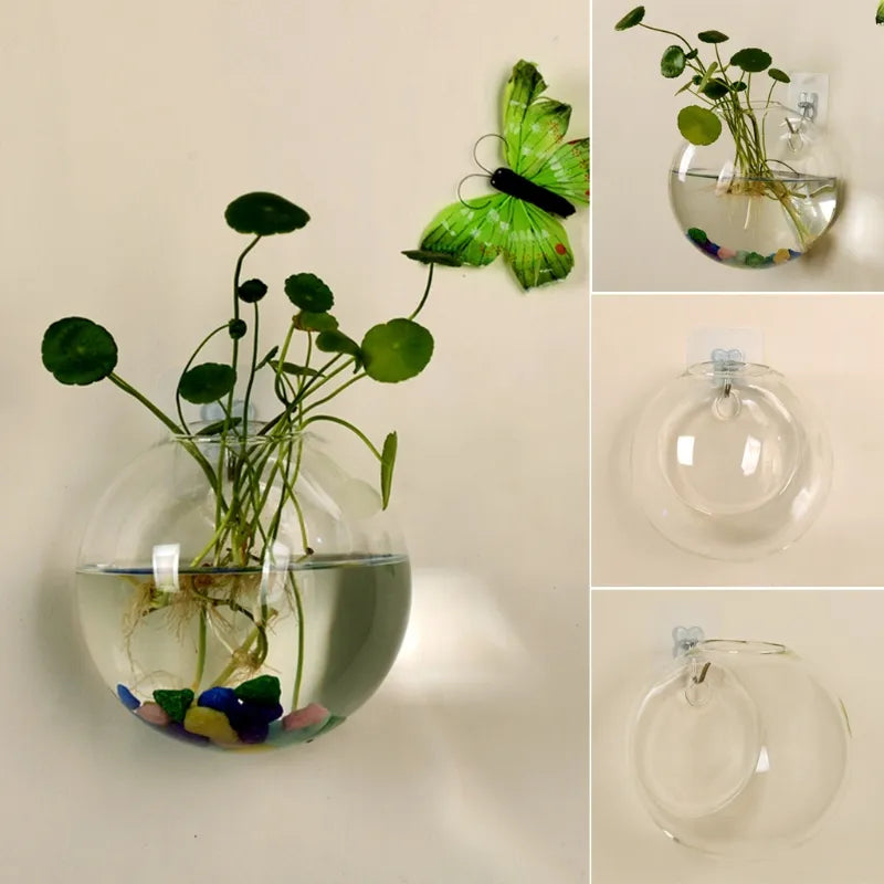 Glass Wall Hanging Hydroponic Plant Pot
