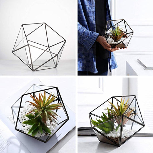 Glass Geometric Terrarium