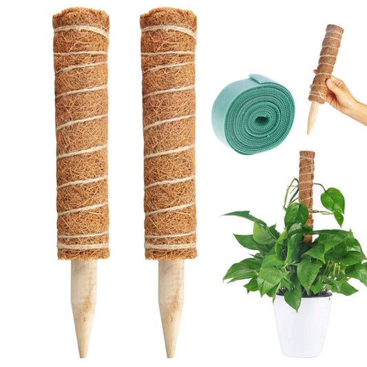 Plant Support Stakes For Plants
