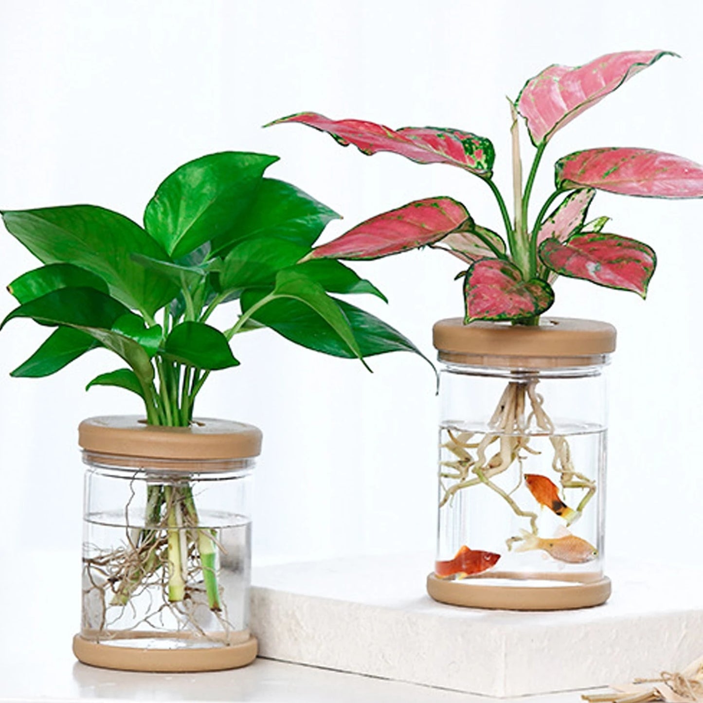 Mini Hydroponic Plant Pot